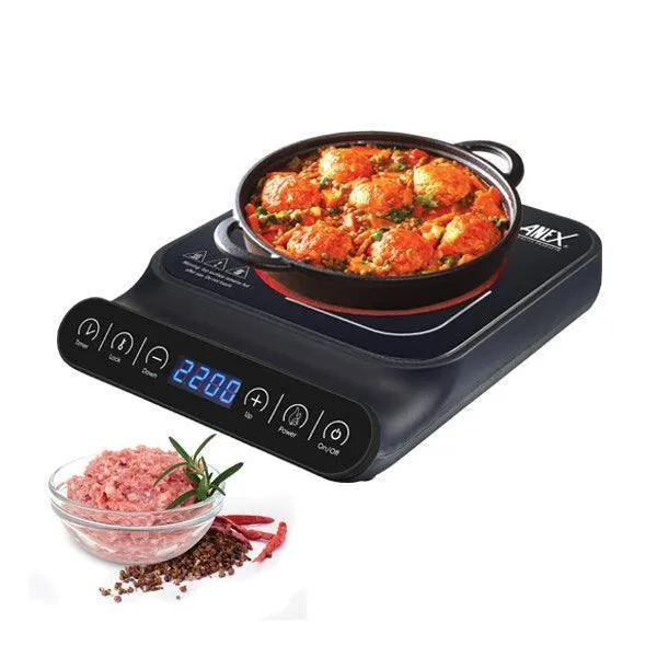 ANEX DELUXE HOT PLATE AG-2166