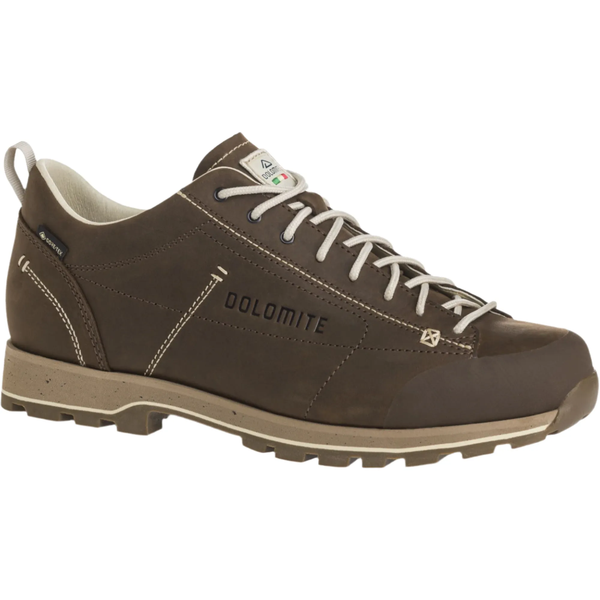 Dolomite Men's 54 Low Fg Evo GTX