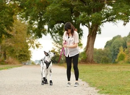 RC Pets - Strider Boot