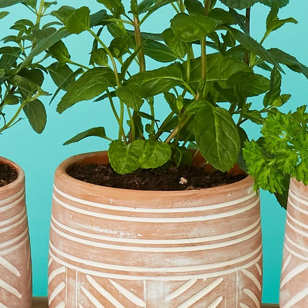 Small Terracotta Pot Tray Set