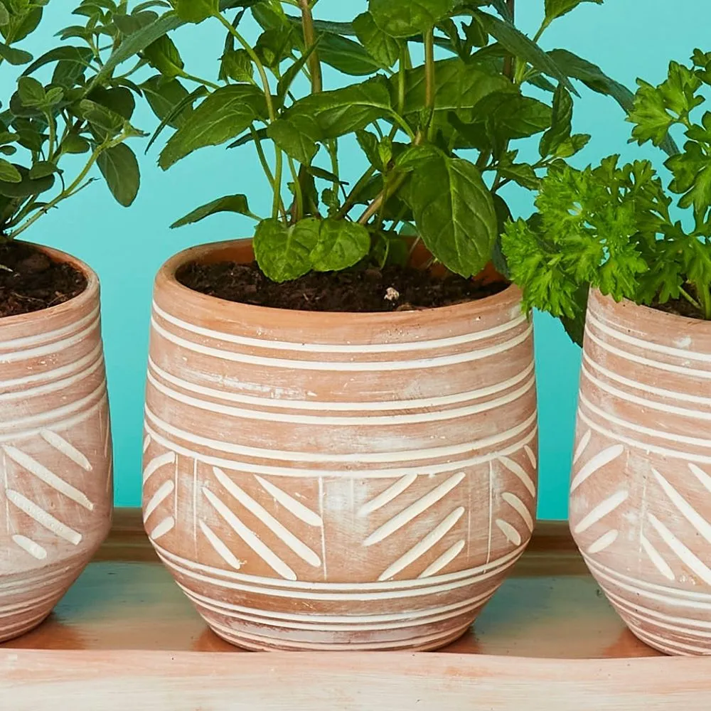 Small Terracotta Pot Tray Set